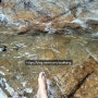 청학밸리리조트 더운여름 아이들 물놀이로 좋은 수락산계곡