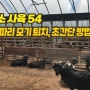 [54] 흑염소 사육 - 흑염소농장 파리 모기를 퇴치하는데 방법을 찾았어요