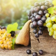 프랑스 와인생산지 : 보르도, 부르고뉴, 샹파뉴