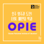 영주권 학과 _ 타일과정_ OPIE ( Oceania Polytechnic Institute of Education)