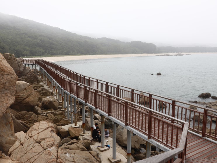 인천섬여행' 무의도(舞衣島)트레킹둘레길' 네이버 블로그