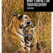WWF Impact on Tiger Recovery