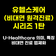 유헬스케어 (비대면 원격진료) 시리즈 1: 원격진료 U-Healthcare 의미, 특징 - 비대면 진료 법제화