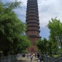 [여행] Ninh Bình 닌빈 3-3 : Bai Đinh 바이딘 사원