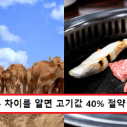 한우와 육우 차이를 알면 소고기 40% 할인된 가격에 먹을 수 있다고요!!!