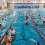 어린이 수영대회, 성동구민 종합체육센터 수영장에서 하남 키즈앤풀 플러스와 함께합니다.