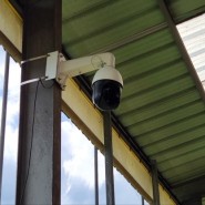 파우스 CCTV연동형 발정탐지기 시스템 사례 - 경북 경주 한우농가 설치후기