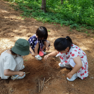 7월 11일 산책이야기