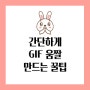 누구나 10초 안에 GIF 움짤 만드는 법!(Feat.포토스케이프)