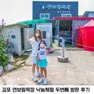 김포 연보람목장 낙농 체험 (송아지 우유주기, 젖소 우유 짜기, 수제피자 만들기, 트랙터 타기) 5월에 이어 두 번째 방문 후기