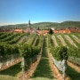 슬로바키아에서 와인을 즐기기 좋은 곳은?