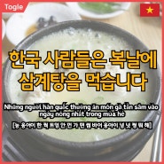 [원어민이 알려주는 베트남어회화] "한국 사람들은 복날에 삼계탕을 먹습니다."