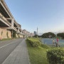 New Taipei City Xizhou Riverside Park 4