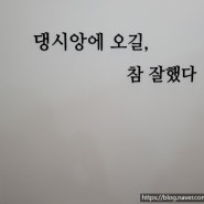 김해 강아지옷집, 진영강아지옷집, 강아지의 모든것 댕시앙, 내돈내산후기:)