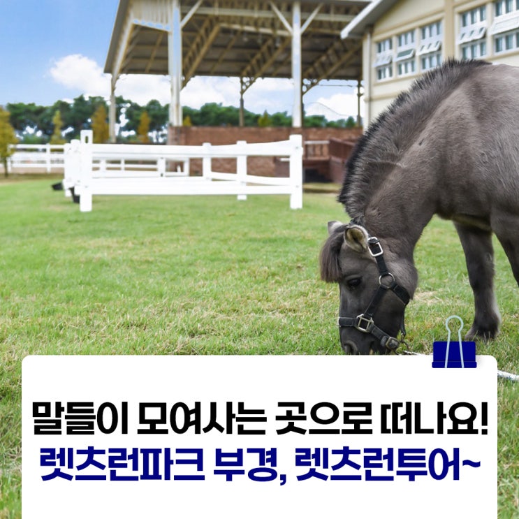 말들이 모여사는 곳으로 떠나요! 렛츠런파크 부산경남 렛츠런투어