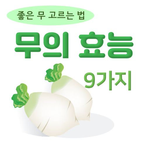 무(무우)효능 9가지, 무반찬 9가지, 좋은 무 고르는 법 : 네이버 블로그