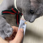 고양이 츄르 / 한방 퓨레 애니츄 다이어트 유산균 간식