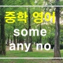some, any, no 쓰임