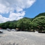 남이자연휴양림 오토캠핑장 제3캠핑장 여름캠핑 - 사이트사진