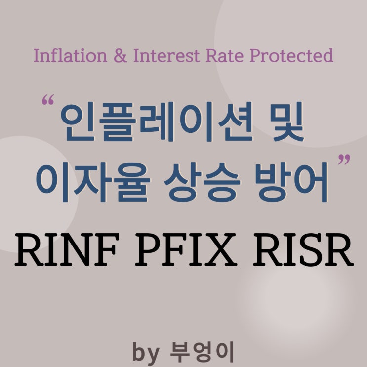 인플레이션 및 이자율 상승 방어 미국 ETF - RINF, PFIX, RISR (물가상승, 기준금리 상승 관련, 국채 및 MBS ...