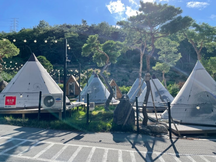 [경산 산으로간캠프] 캠핑 텐트/카라반에서 삼겹살 구우며 캠핑...