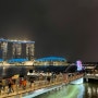 [싱가포르] 칠리크랩과 함께하는 싱가폴에서 혼자 연말 보내기