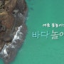 제주 화산지형탐방! 자연경관대박 생이기정에서의 여름가족스노클을 드론으로 기록