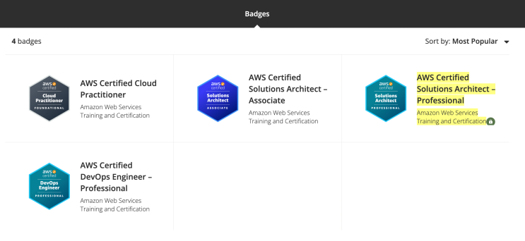 AWS Certified Solutions Architect Professional (SAP-C01) 합격 및 온라인 시험후기 ...