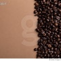 기후 변화에 민감한 커피 원두 보관법