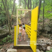 김천 아이들과 가볼만한곳 - 물놀이와 체험을 한번에 ! 김천 물소리생태숲