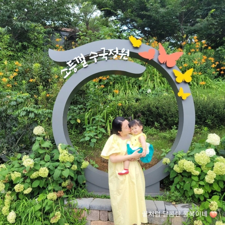 김해 아기랑 가볼만한곳: 대동 수안마을, 소등껄 수국정원