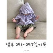 [육아일기]::생후8개월 251-257 분유양,수면시간,이유식양기록