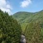 대전 가볼만한곳 장태산 자연휴양림 대전 계곡 물놀이