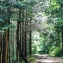 완주 편백나무숲 편백숲오솔길 따라 산책로반환점에 들러 통문으로 향하다