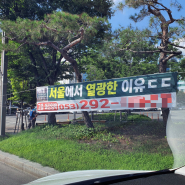 오늘 눈에 띄었던 대구 미분양 현수막(서울에서 열광한 이유?)