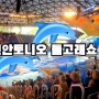 [미국여행]샌안토니오씨월드(Seaworld in San Antonio)돌고래쇼 영상(The Dolphin Show Video) 구경해 보세요 .
