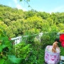 아파트 펜트하우스 테라스 정원과 일상 ; 안젤라, 스칼렛 장미, 불멍, 물놀이, 딸기따먹기