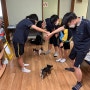 중학교 방과후 특별프로그램 동물교감 프로그램(출강)