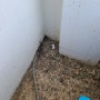 전주비둘기퇴치 효자동 코아루성우아르데코 루버창 갤러리창 비둘기퇴치 실외기실청소