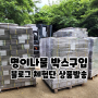 명이나물 박스 구입, 유기농 홍산 마늘 블로그 체험단 상품 발송