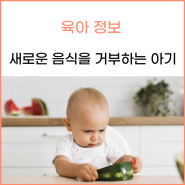 새로운 음식을 거부하는 아기, 왜 그럴까요?