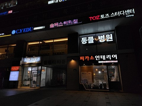 2층 동물병원 지싸인 LED 창문간판 설치사례 : 네이버 블로그