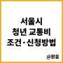 서울시 청년 교통비 대상과 신청방법(티머니, 카드)