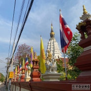세계여행 태국 #3. 치앙마이 | 사원, 거리 둘러보기