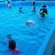 통영 카페 어린이 물놀이장 있는 카페둘다섯 무료 온수 수영장 이용하기