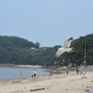 석모도 여행 민머루해수욕장