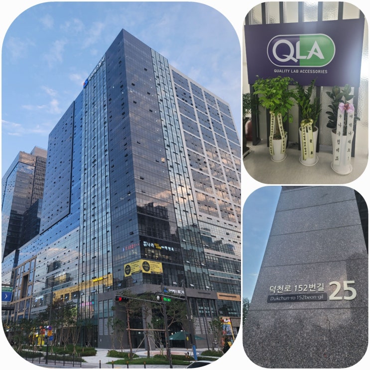 드디어 QLA Korea (큐엘에이 한국지사) 문을 열다. : 네이버 블로그