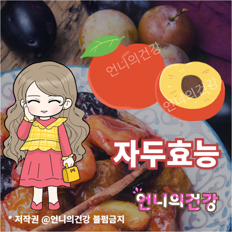 말린 자두 효능(건자두) : 네이버 블로그