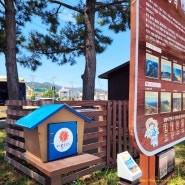 경북 영덕블루로드 C코스, 고래불해수욕장-축산항