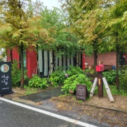 대전 유성구 멋진 숲 카페 자작나무 커피 방문 후기